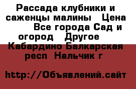 Рассада клубники и саженцы малины › Цена ­ 10 - Все города Сад и огород » Другое   . Кабардино-Балкарская респ.,Нальчик г.